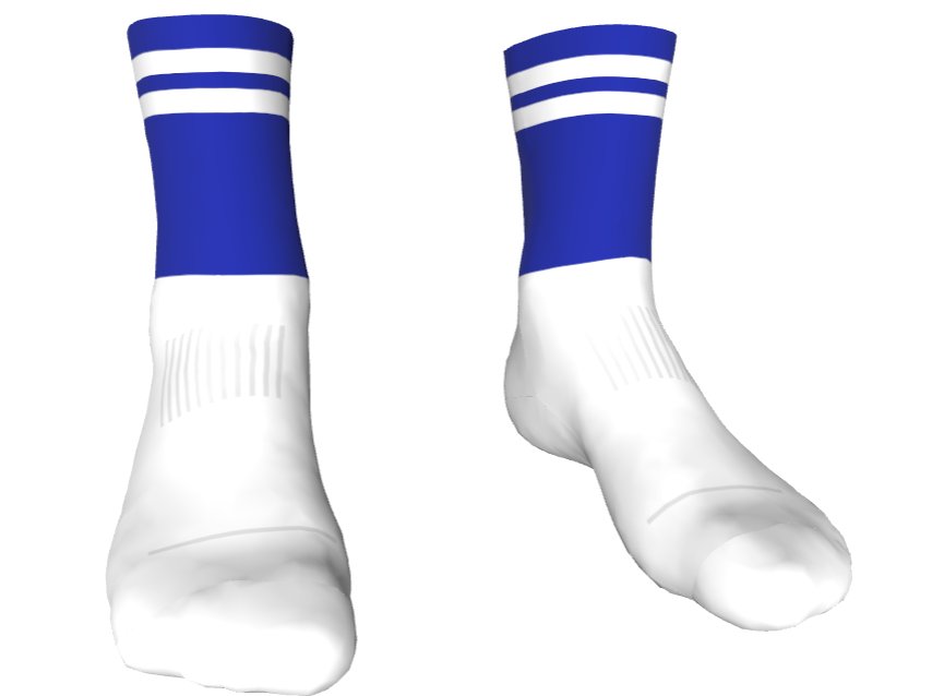 Midi Length GAA Socks Royal Blue / White